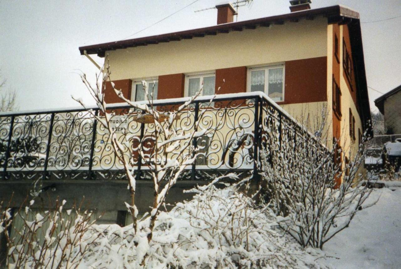 Studio Cosy Avec Vue Sur Lac Et Montagne A Gerardmer 30 M² 外观 照片