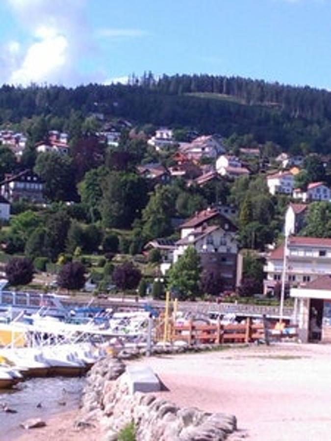 Studio Cosy Avec Vue Sur Lac Et Montagne A Gerardmer 30 M² 外观 照片